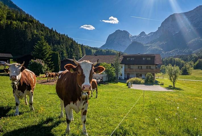 Pension für 2 Personen, mit Balkon und Terrasse sowie Garten