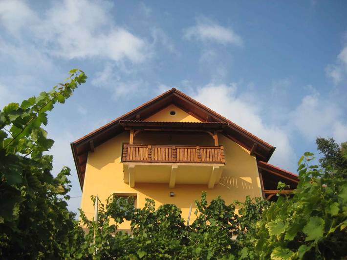 Location de vacances pour 4 personnes, avec Balcon et Jardin dans Novo mesto - 3