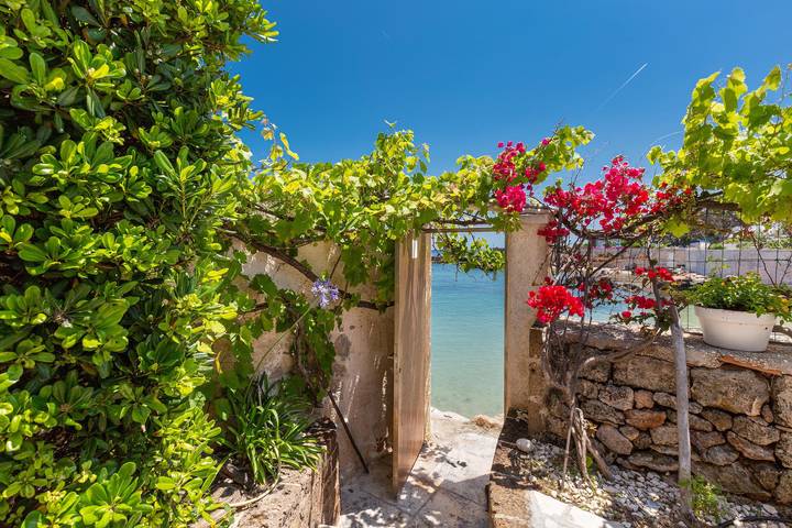 Gîte pour 4 personnes, animaux acceptés à Polignano a Mare - 3