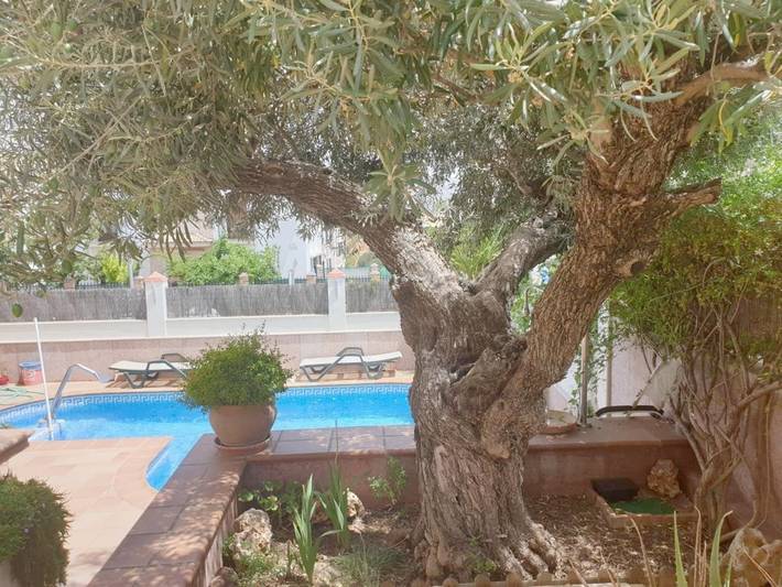 Gîte pour 2 personnes, avec jardin ainsi que piscine et vue à Ronda - 2
