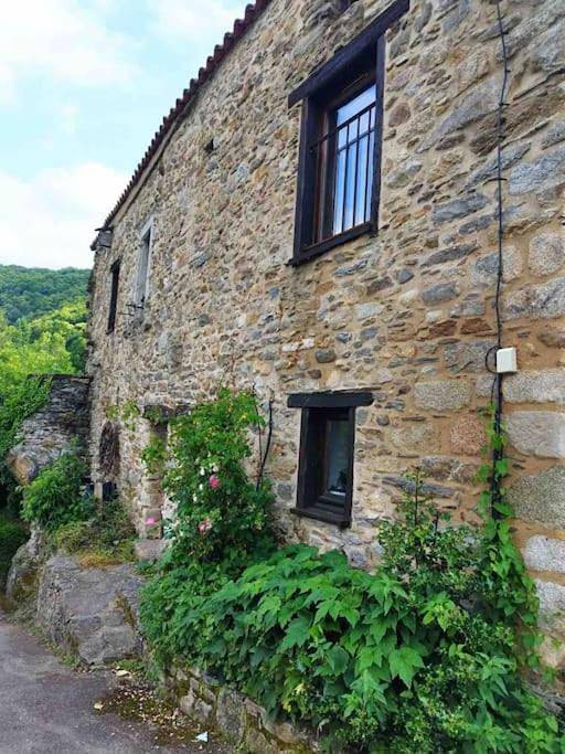 Gîte pour 8 personnes, avec terrasse et vue, animaux acceptés à Mazamet - 2