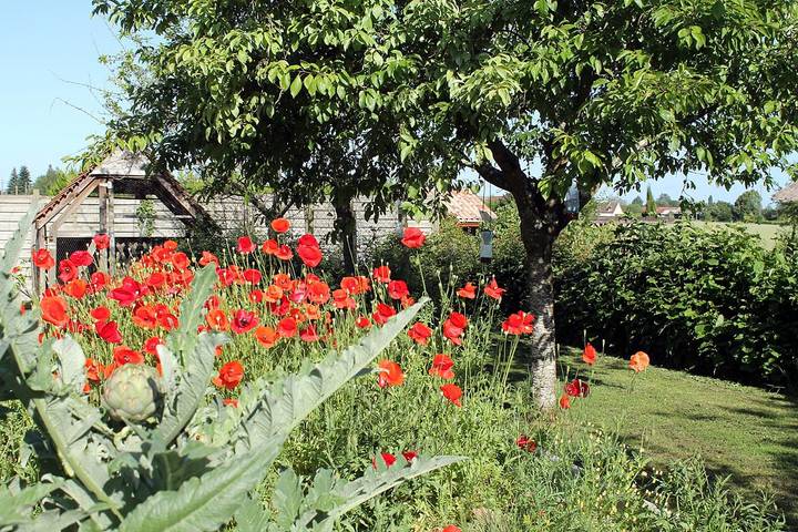 Gîte pour 6 personnes, avec terrasse et jardin dans la Sarthe - 3