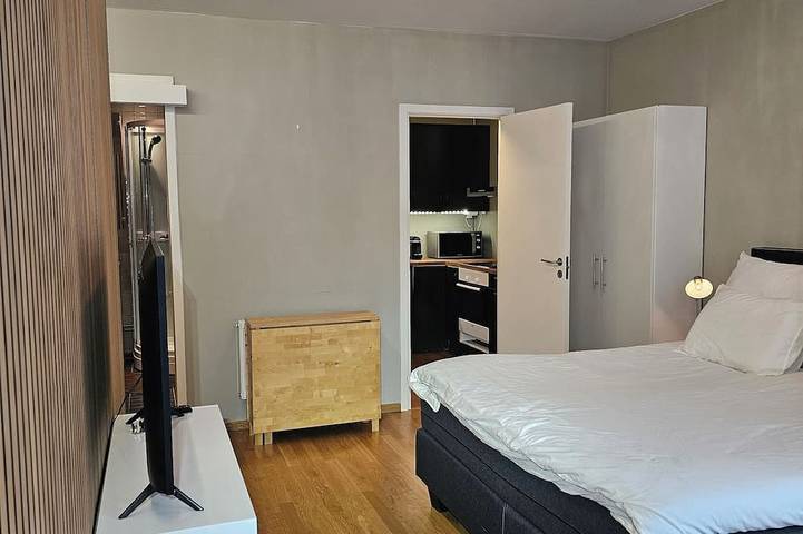 Appartement entier, Cozy & Central studio in the royal heart of Oslo in St. Hanshaugen, Oslo métropole