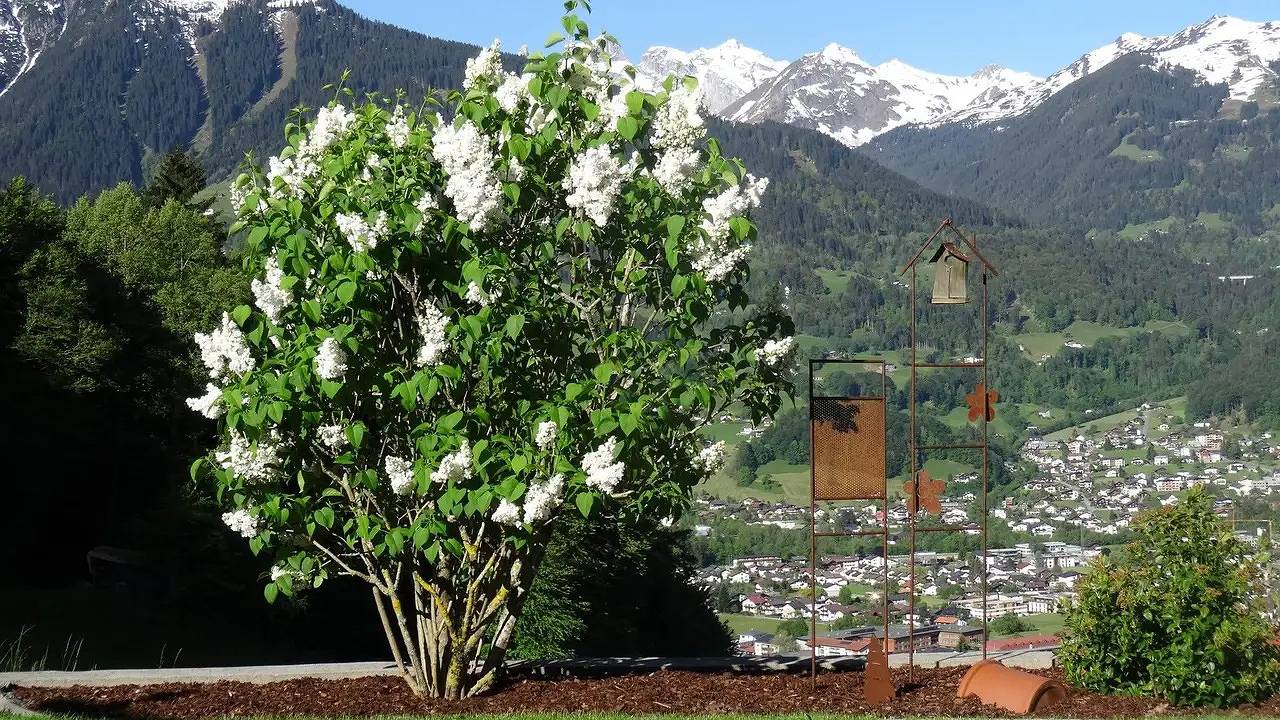 Appartement de vacances entier, Ferienwohnung für 4 Personen (65 m²) in Schruns in Schruns, Schruns-Tschagguns