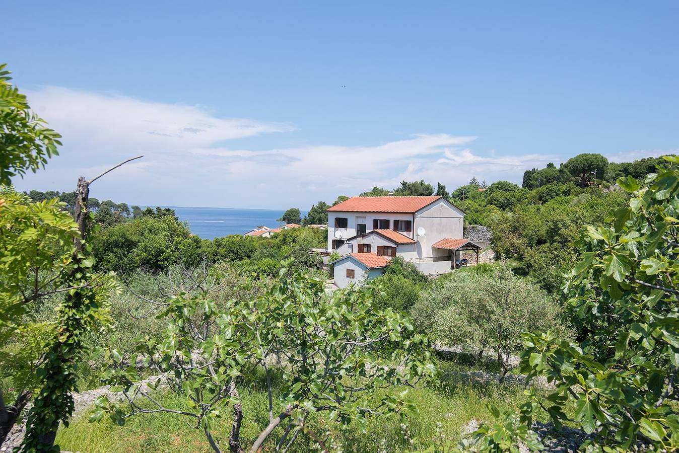 Ganze Wohnung, 2-Zimmer-Ferienwohnung mit Klima Veli Losinj, Losinj -a in Veli Losinj, Lošinj (Kvarner Bucht)
