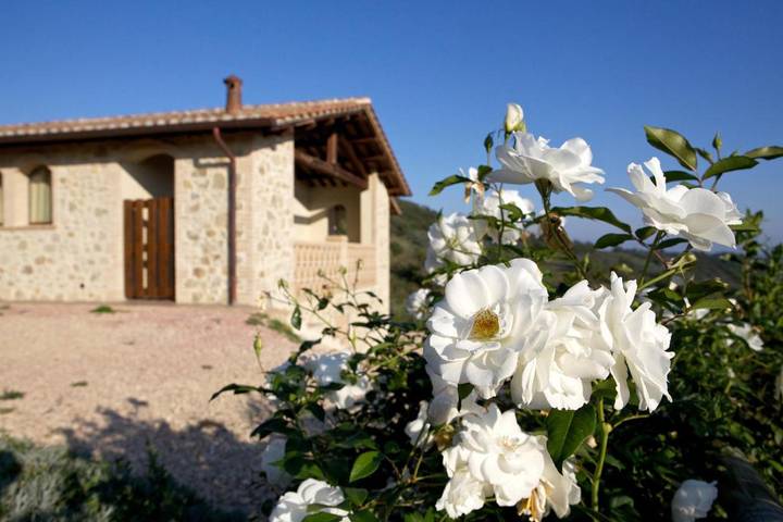 Location de vacances pour 22 personnes, avec piscine ainsi que vue et jardin, animaux acceptés à Gualdo Cattaneo - 3