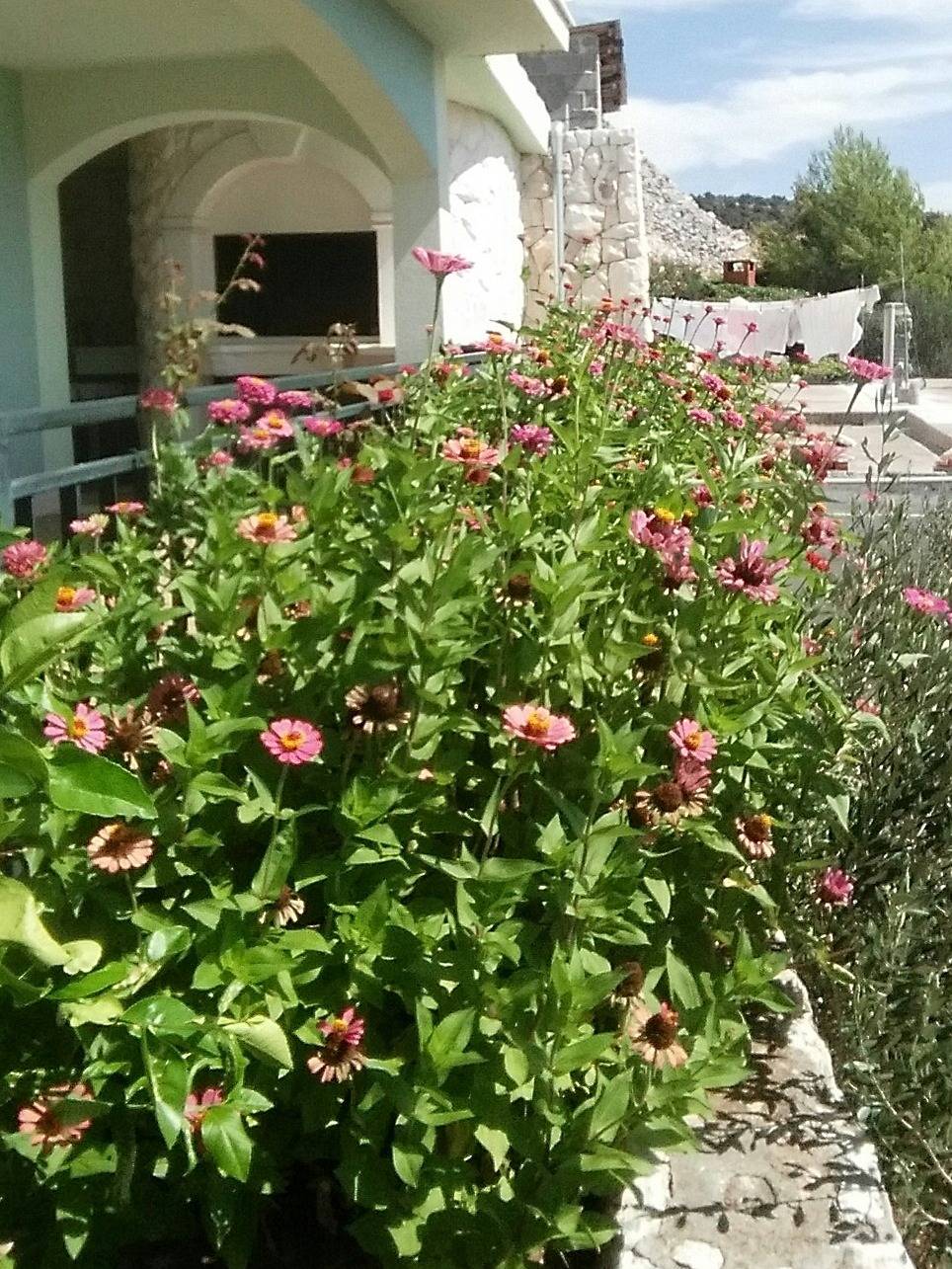 Cijeli apartman, Trosobni apartman s terasom i pogledom na more Sevid, Trogir A-16111-a in Sevid, Splitsko-dalmatinska županija