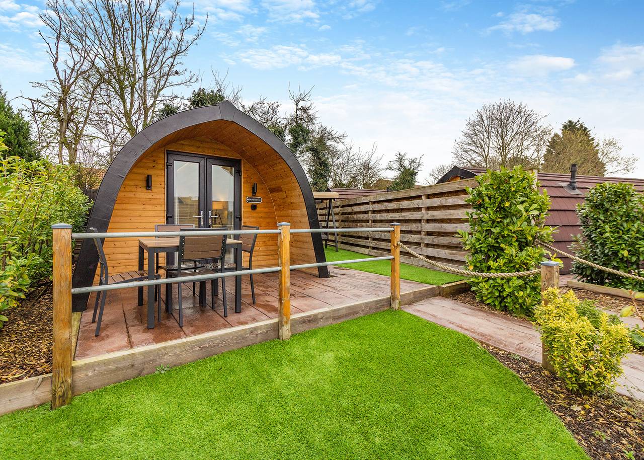 Kingfisher in Gunthorpe (Nottinghamshire), Nottinghamshire