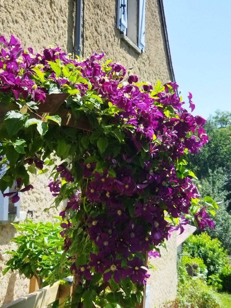 Aux Deux Colombes - Chambre du Couchant in Padirac, Massif central