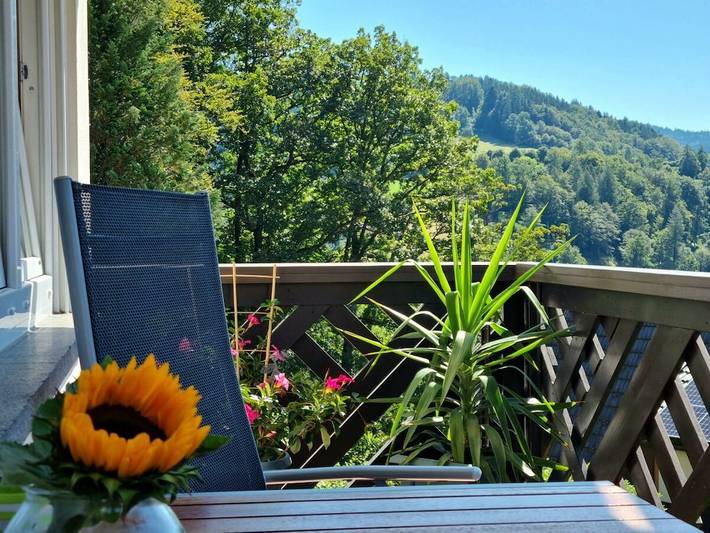 Ferienhaus für 5 Personen, mit Balkon und Ausblick in Bad Peterstal-Griesbach - 2