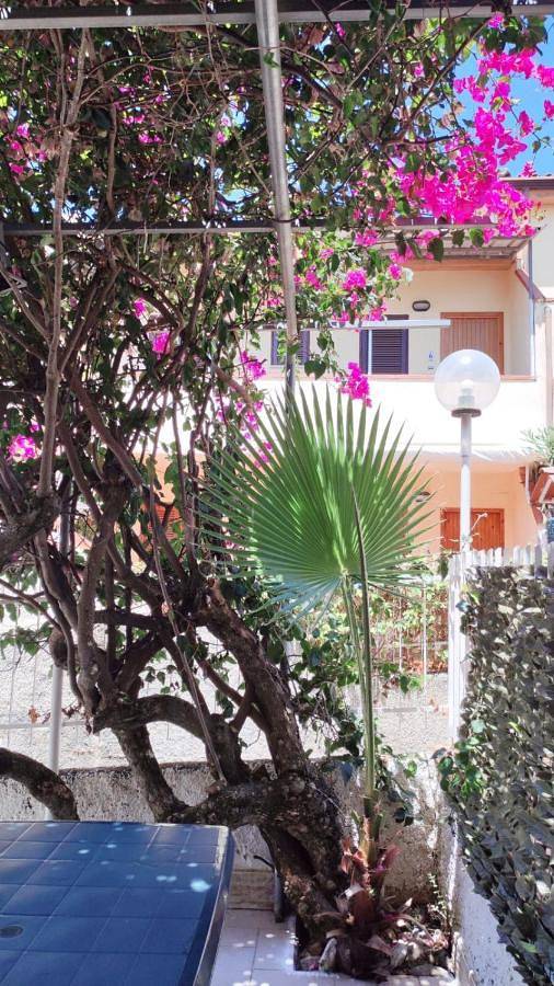 Location de vacances pour 5 personnes, avec jardin, adapté aux familles à Scalea - 4