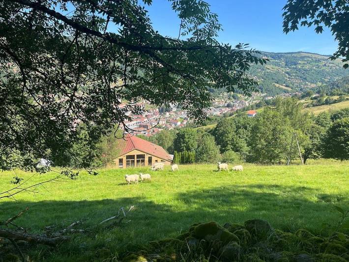 Chalet pour 14 personnes, avec vue ainsi que sauna et jardin, animaux acceptés
