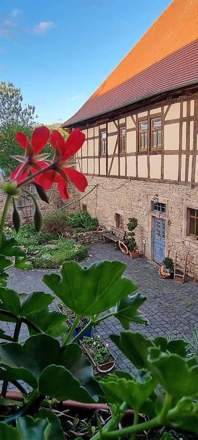 Ferienwohnung für 4 Personen, mit Terrasse und Garten in Allstedt - 4