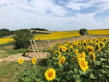 Gîte pour 6 personnes, avec jardin et vue, animaux acceptés à Puylaurens