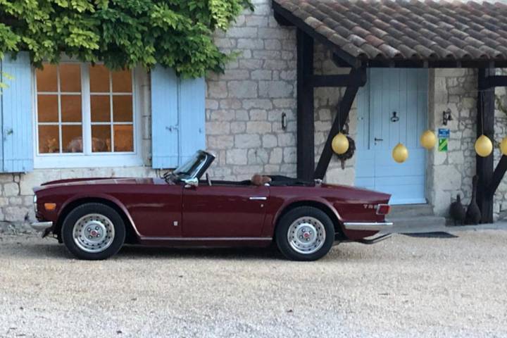 Gîte pour 24 personnes, avec piscine ainsi que jardin et vue, animaux acceptés à Trentels - 4