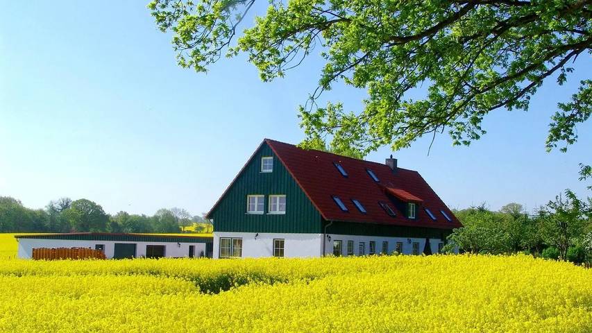 Ferienwohnung für 5 Personen, mit Sauna und Garten, mit Haustier in Wangels - 2