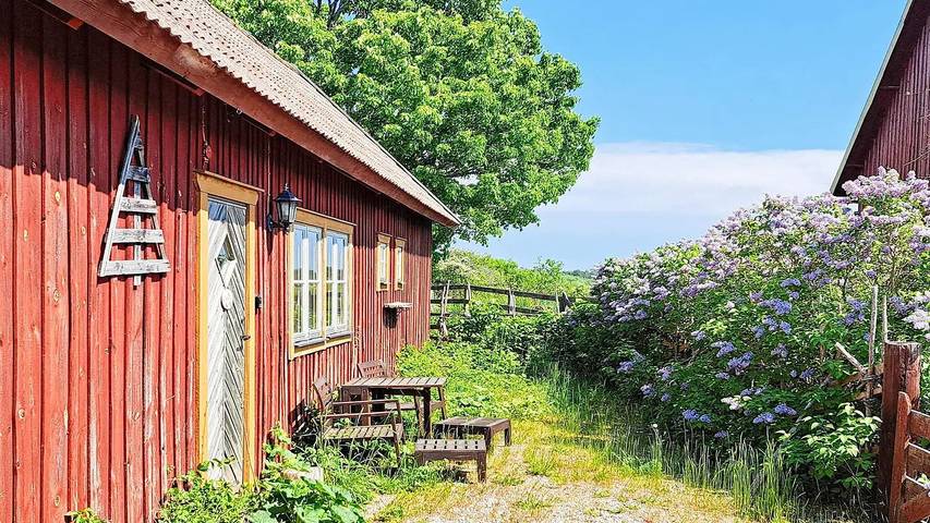 Ferienhaus für 9 Personen, mit Haustier in Gotland - 4