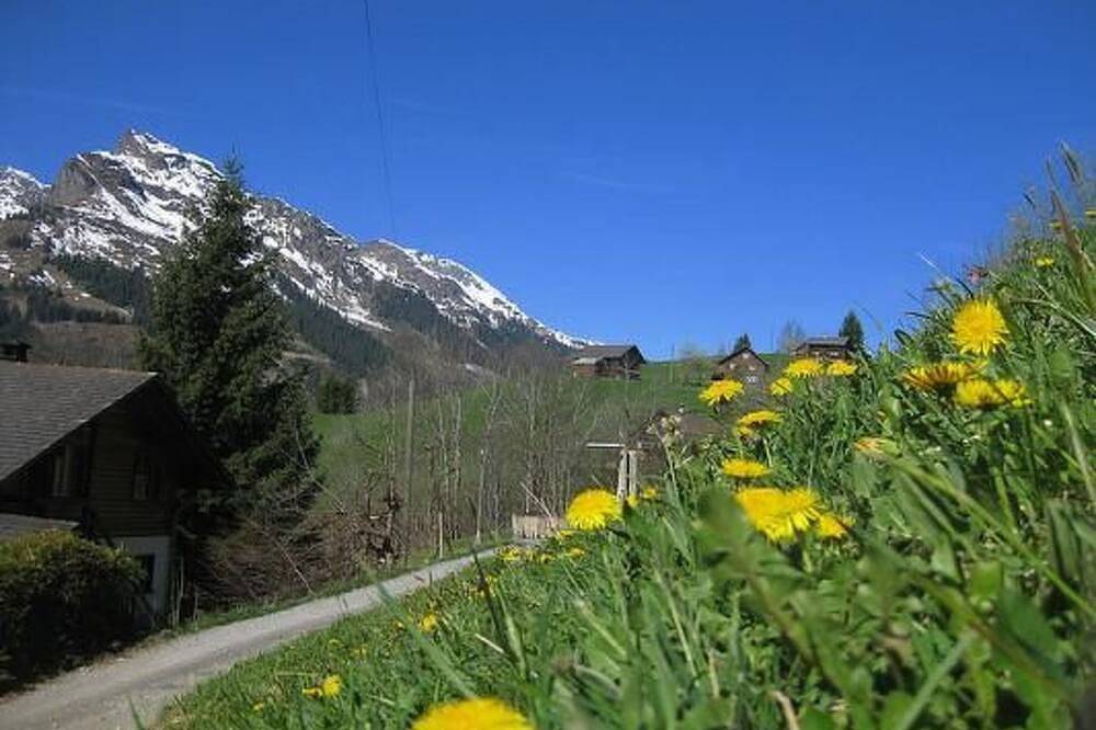 Weissenberge Gfell in Matt, Glarus Süd