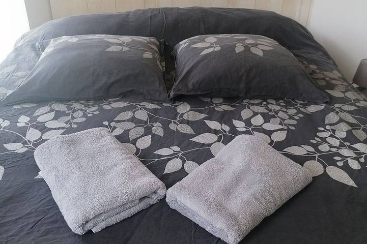 Location de vacances pour 7 personnes, avec terrasse et jardin à Plounéventer - 2