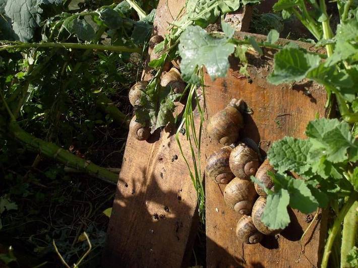 Location de vacances pour 6 personnes, avec jardin et vue dans Chamesol - 4