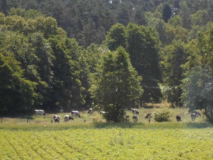 Ferienhaus für 11 Personen, mit Garten in Nahrendorf