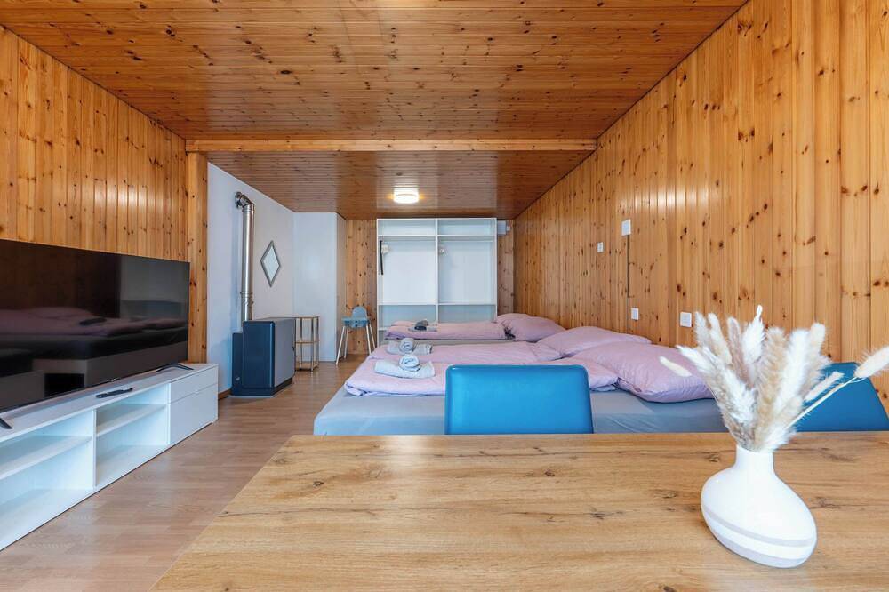 Ganze Wohnung, Apartmentspiez, 20min Interlaken in Spiez, Thunersee