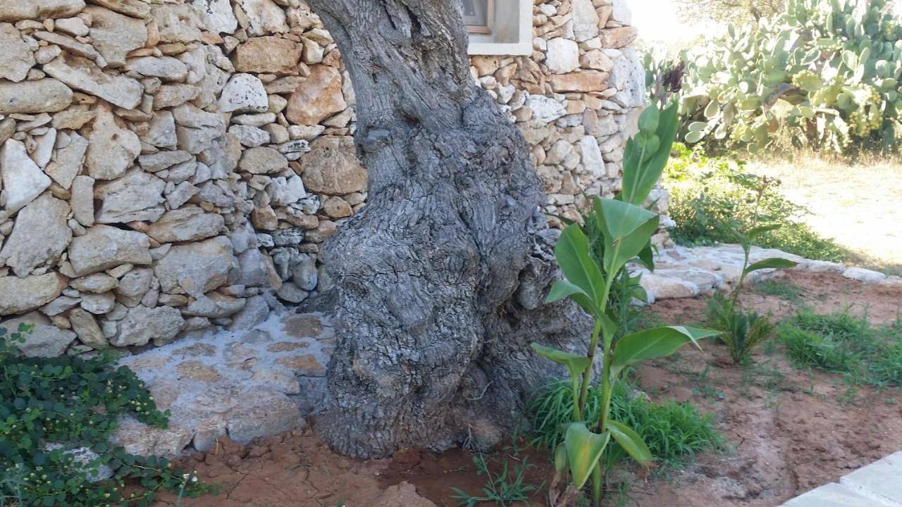 Appartamento intero, Agriturismo Tenuta La Siesta in Alezio, Golfo di Taranto