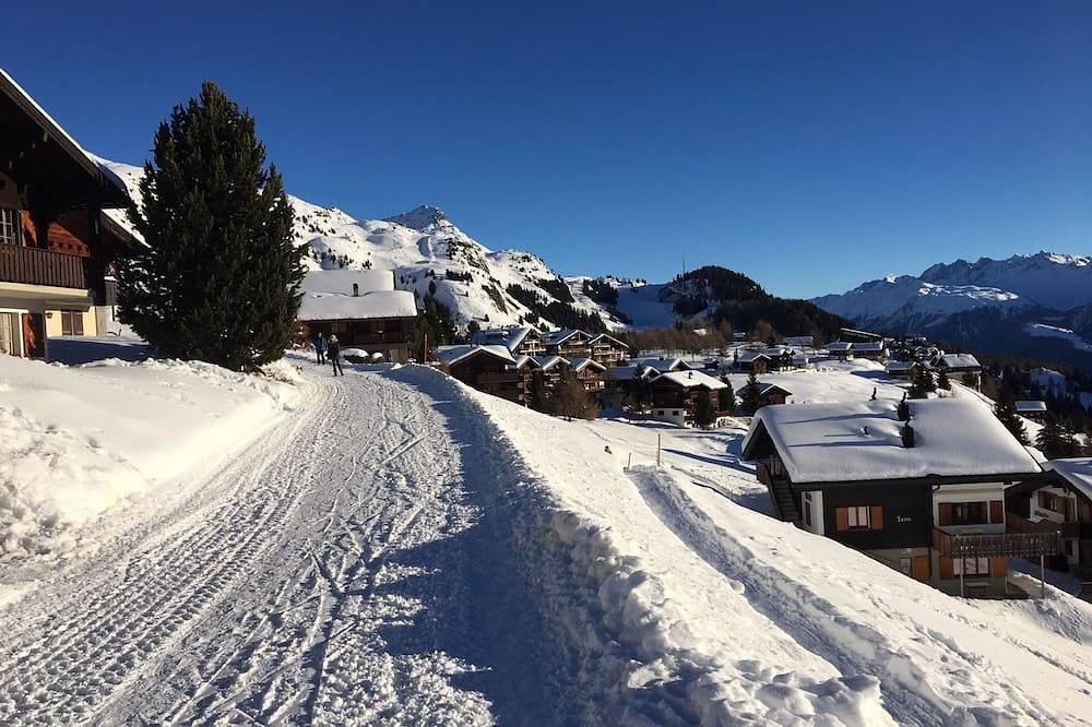Ganze Wohnung, Almenrausch 2. Og Süd-West in Riederalp, Aletsch Arena