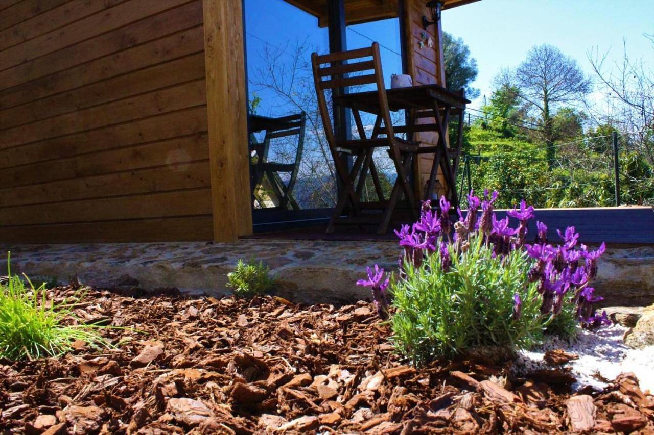 Bungalow Lagoas de Grade in Grade e Carralcova, Distrito de Viana do Castelo