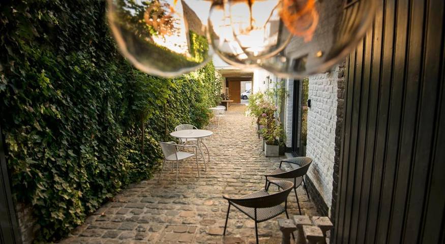 Maison d’hôte pour 2 personnes, avec terrasse, animaux acceptés en Mer du Nord (Belgique) - 2