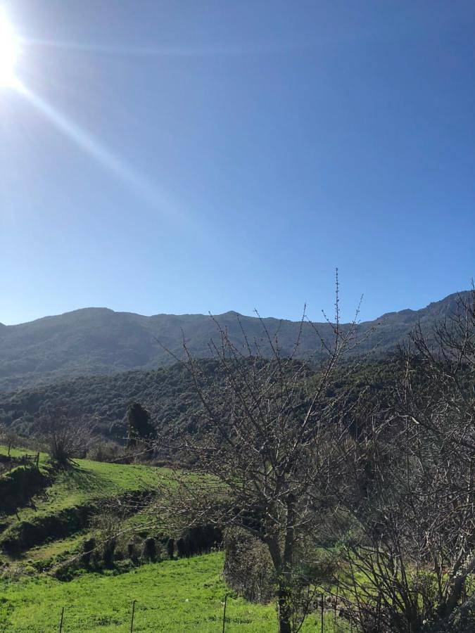 Gîte pour 7 personnes, avec terrasse à Frasseto