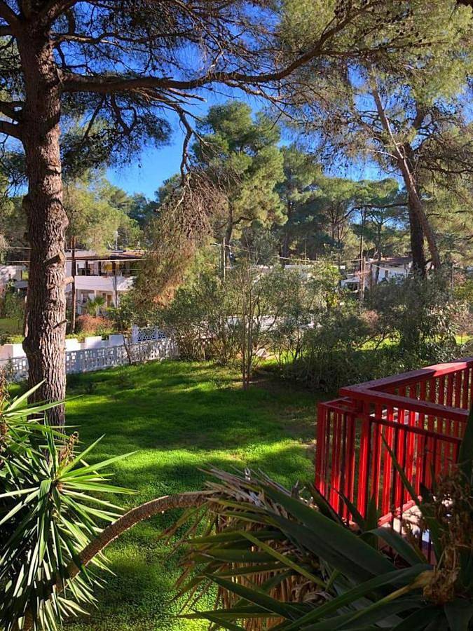Location de vacances pour 6 personnes, avec jardin, animaux acceptés dans Castellaneta Marina - 4