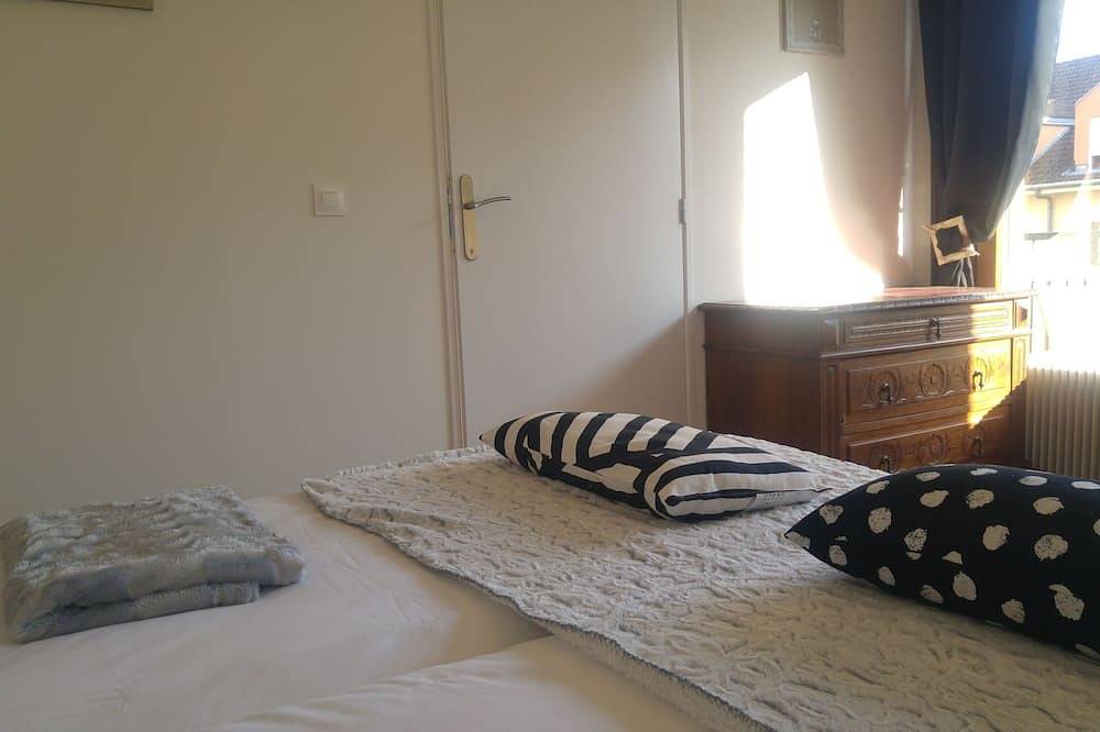 Entire apartment, Two rooms in Thonon les Bains in Thonon-les-Bains, Thonon-les-Bains region