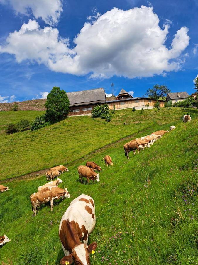 Ferienwohnung für 6 Personen, mit Garten und Ausblick, mit Haustier