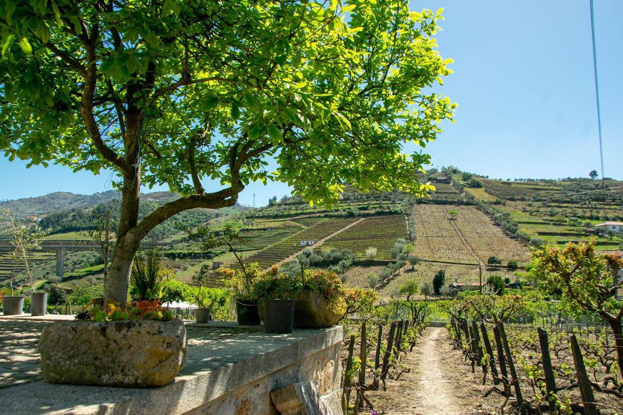 Cosy Historical House in Lamego - Quinta do Cabo in Lamego, Vale do Douro