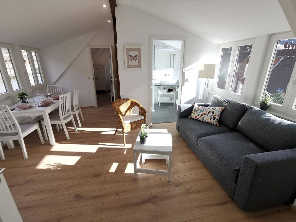 Ganze Wohnung, Superior Apartment in Neckargemünd, Kurpfalz