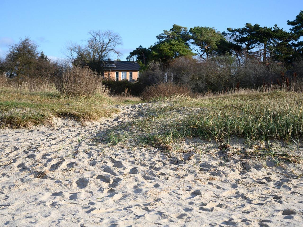 Ganze Ferienwohnung, F: Villa Westwind in Klein Zicker, Mönchgut