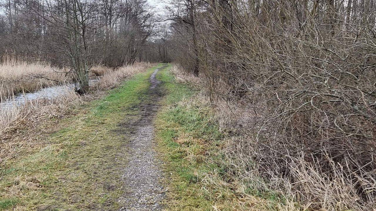 Ferienhaus für 4 Personen (50 m²) in Ebeltoft in Fuglslev, Ebeltoft