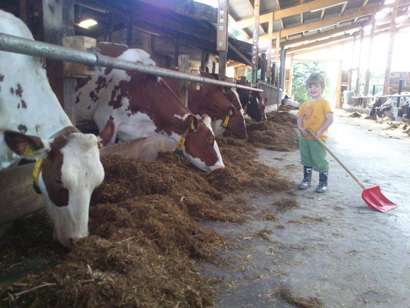 Vakantiehuis voor 6 Personen in Wennbüttel, Noord-Oostzeekanaal