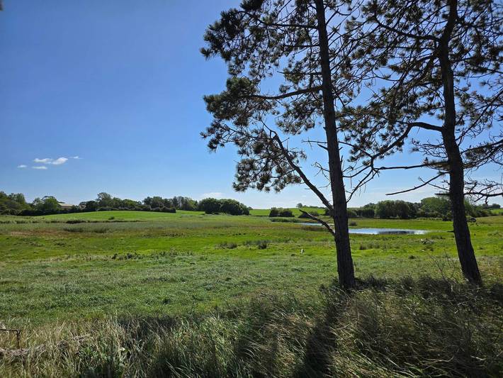 Luxuriöses Pool-Refugium in Kegnaes in Kegnæs, Kleiner Belt
