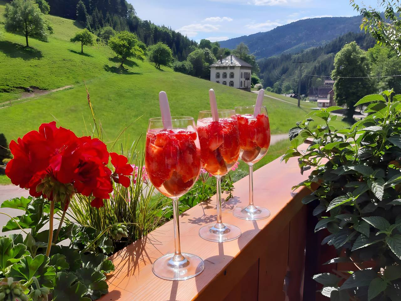 Ganze Ferienwohnung, Bläsihof - Ferienwohnung 4 Bachblick in Oberharmersbach, Mittlerer Schwarzwald