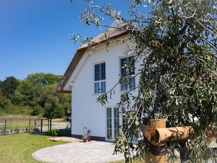Ferienhaus für 4 Personen, mit Terrasse und Garten, mit Haustier in Poseritz - 4