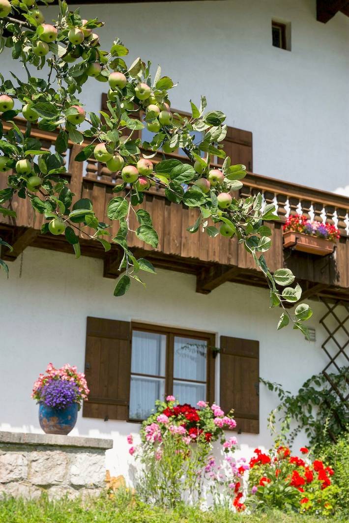 Ferienwohnung für 4 Personen, mit Balkon in Bischofswiesen - 3