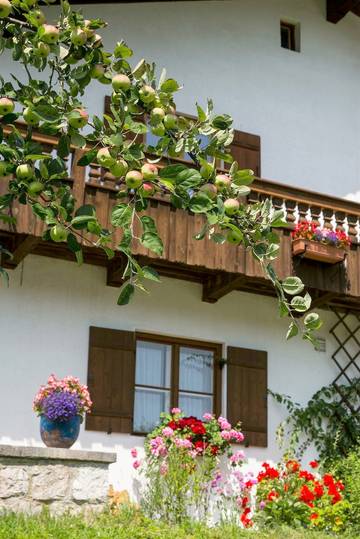 Ferienwohnung für 2 Personen in Bischofswiesen, Bayerische Alpen, Bild 2