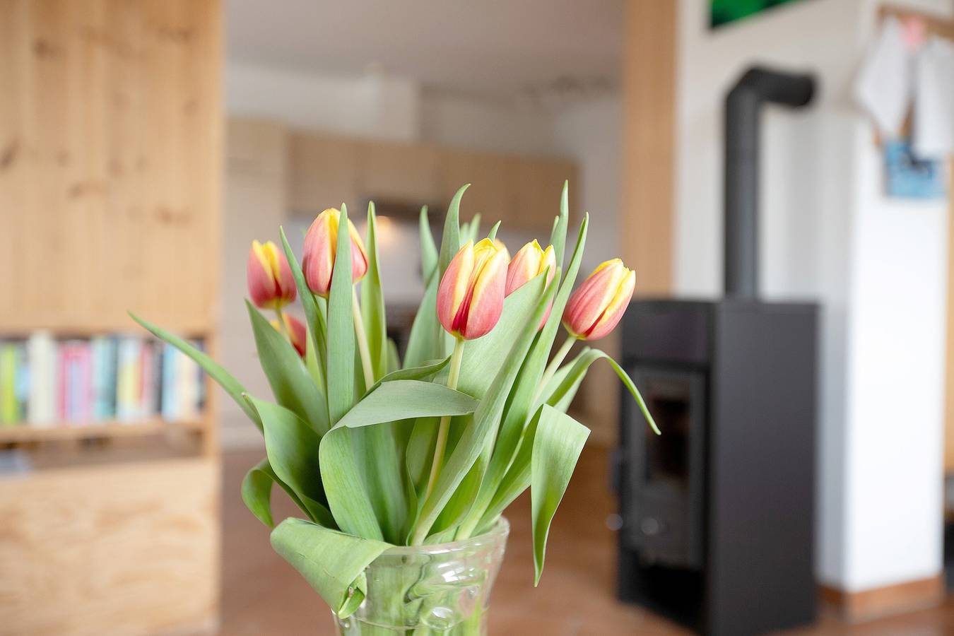 Ganze Wohnung, Ferienwohnung Coni" mit privater Terrasse, privatem Garten und Wlan in Langballig, Schleswig-Flensburg