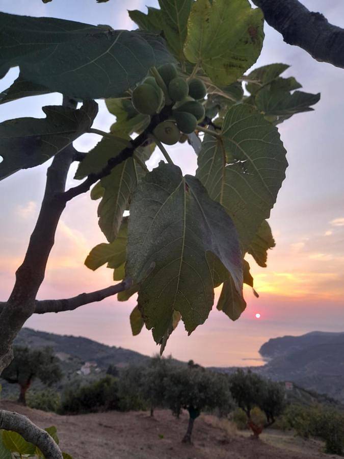 L'Aia di Antonella Guariglia in San Mauro Cilento, Cilento Coast