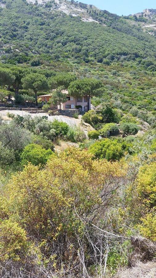 Villa in Isola del Giglio