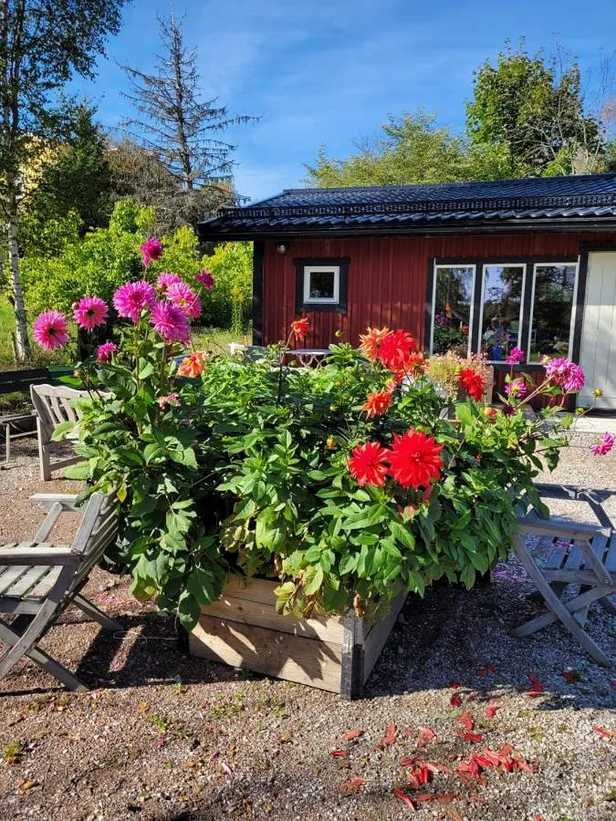 Ferienhaus für 4 Personen, mit Terrasse - 1