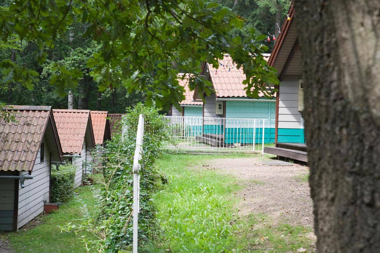 Waldidylle - Bungalows an der Talsperre Kriebstein in Kriebstein, Chemnitz und Umgebung