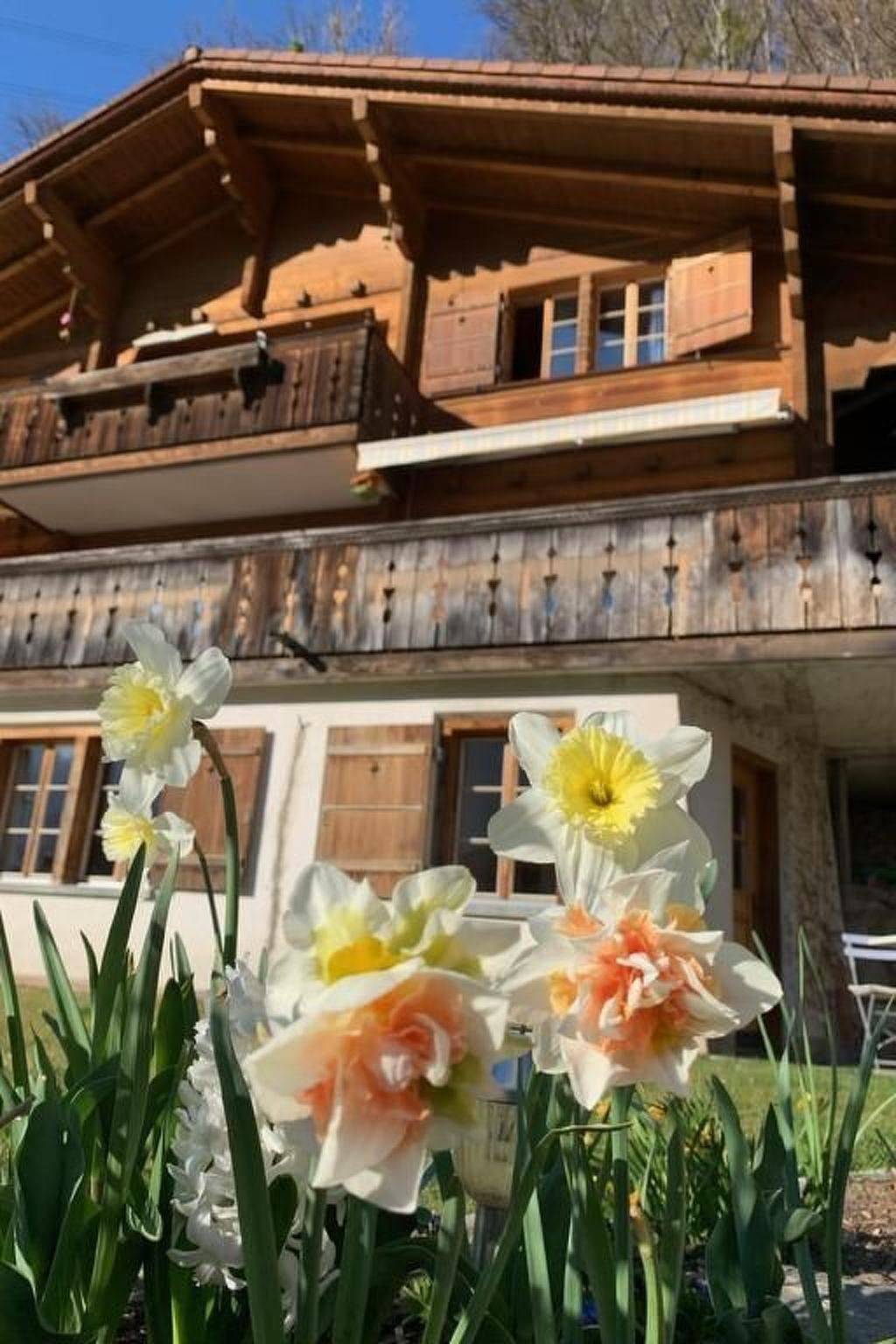 Geheel appartement, Sonnig und gemütlich in Meiringen, Berner Oberland